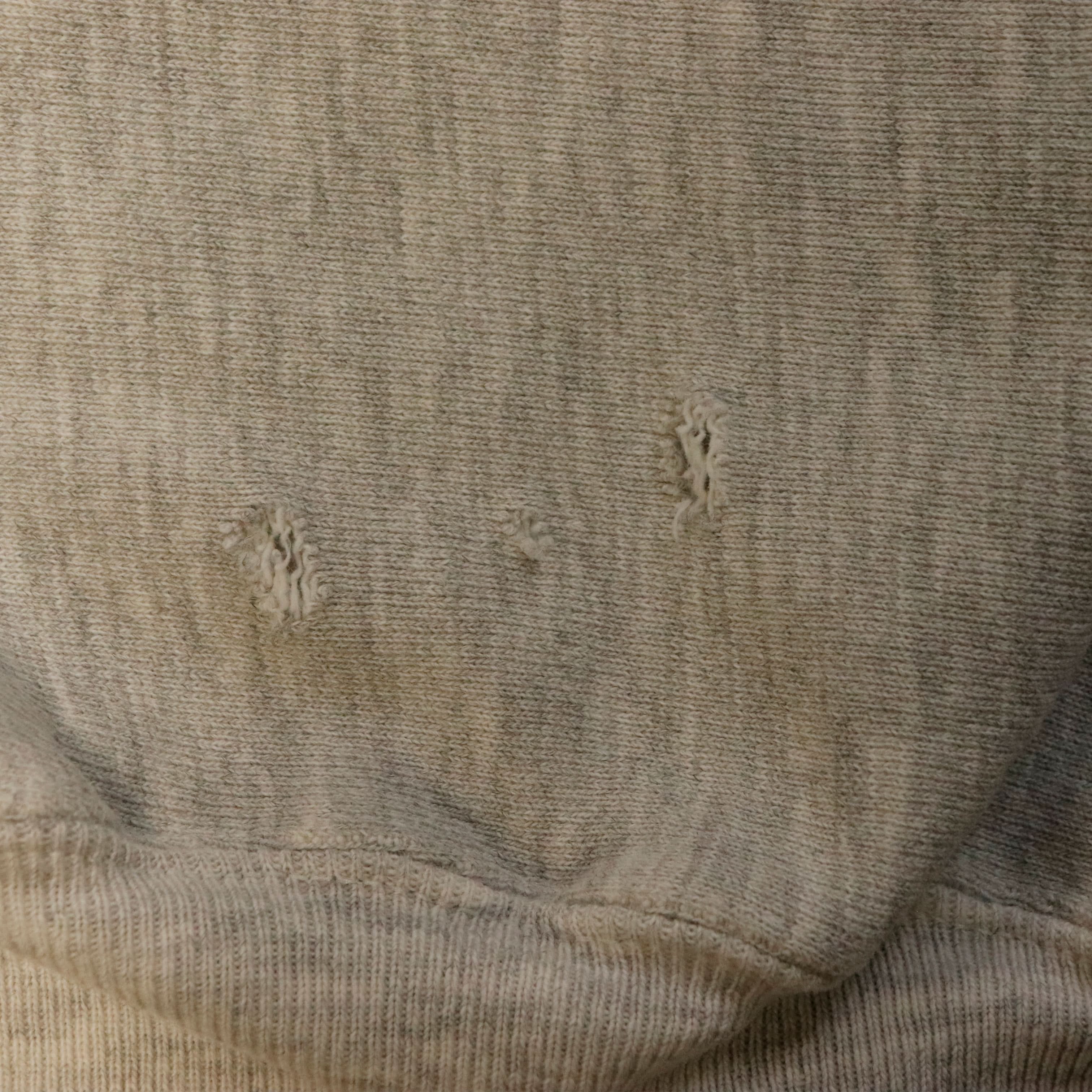 Vintage Champion Michigan Alumni Reverse Weave Sweatshirt Size XXL