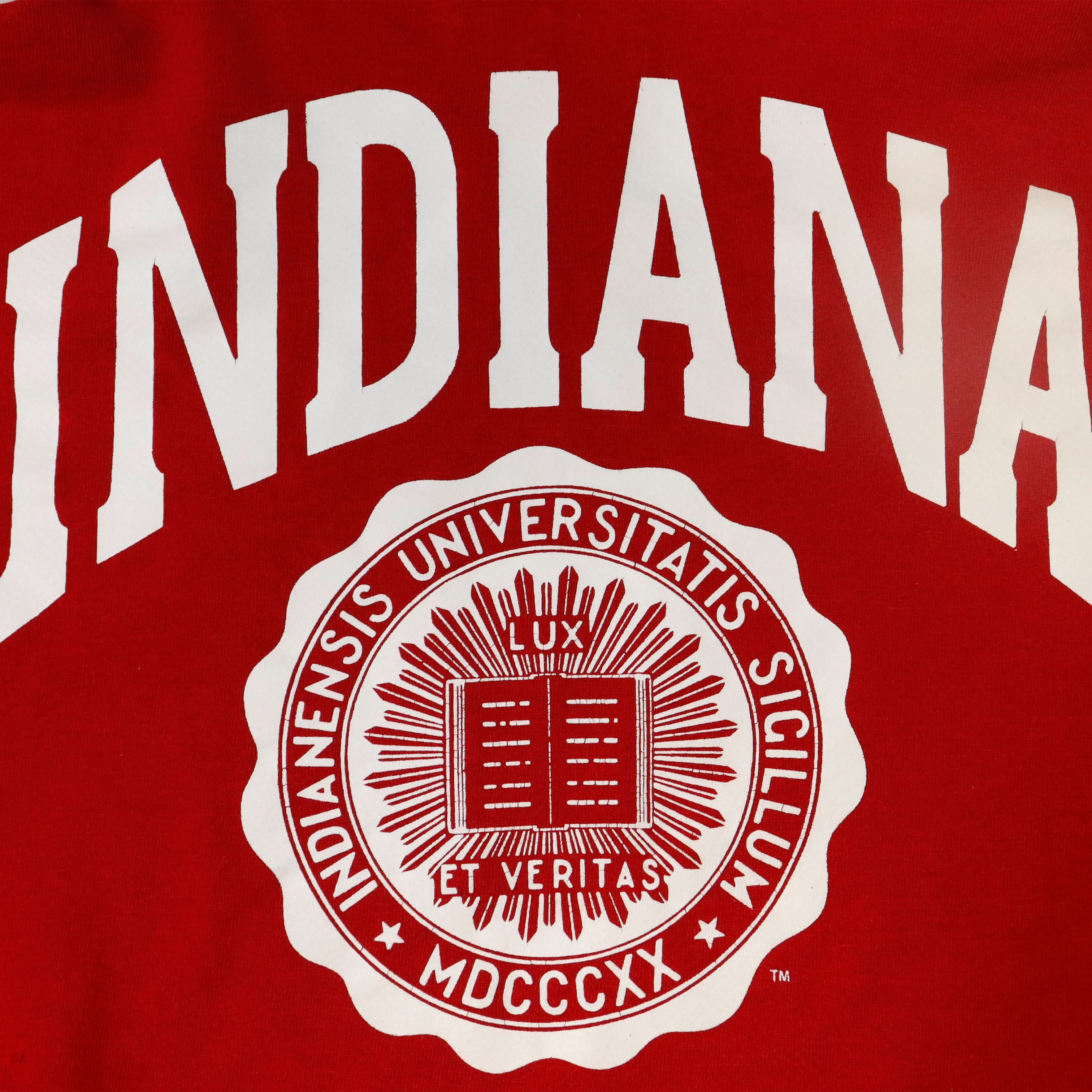 Vintage Jerzees Indiana University Seal Hoodie Size XL