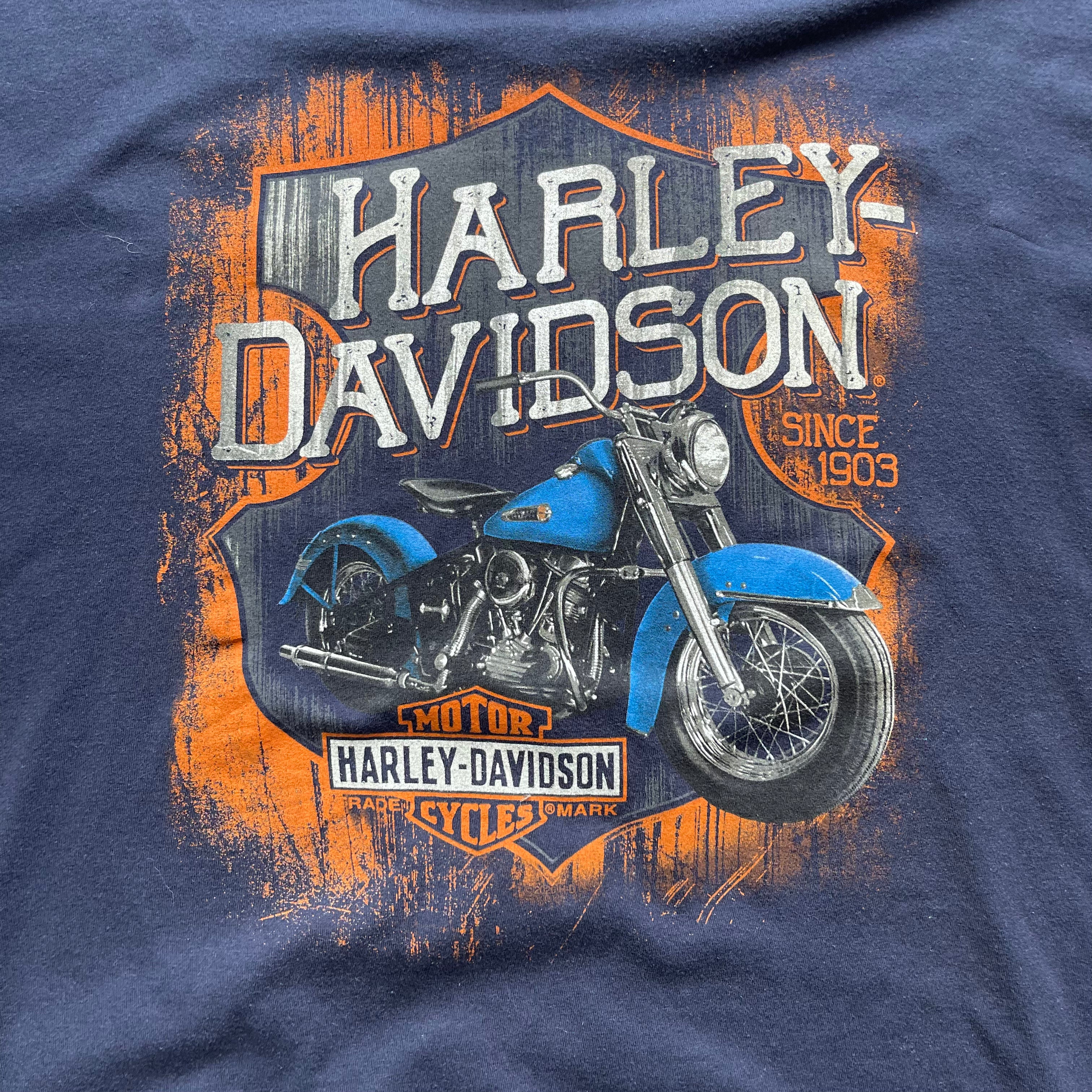 Harley Davidson 2020 Oconomowoc, WI