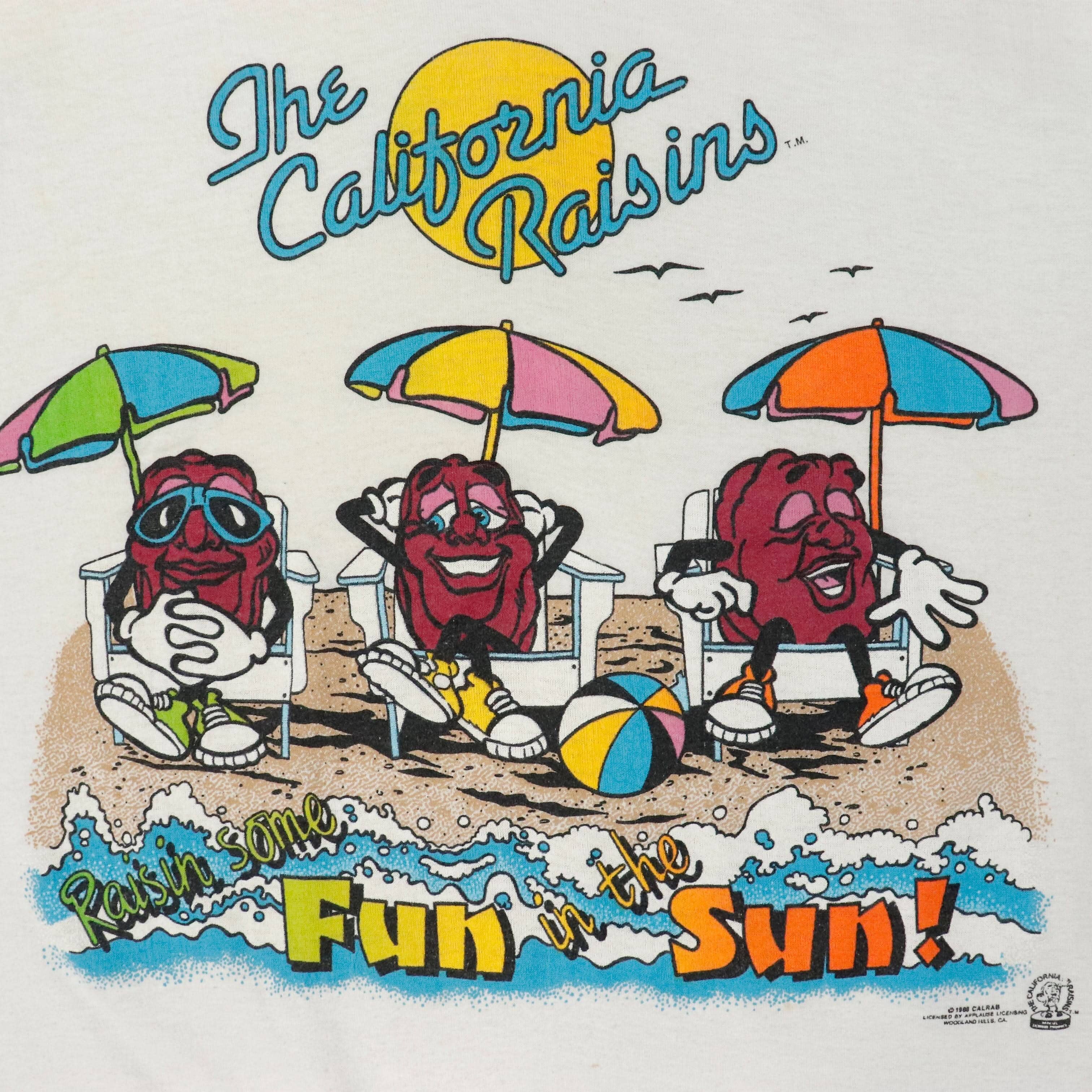 Vintage 1988 California Raisins Beach Graphic T-Shirt Size XL FAIF.CA 