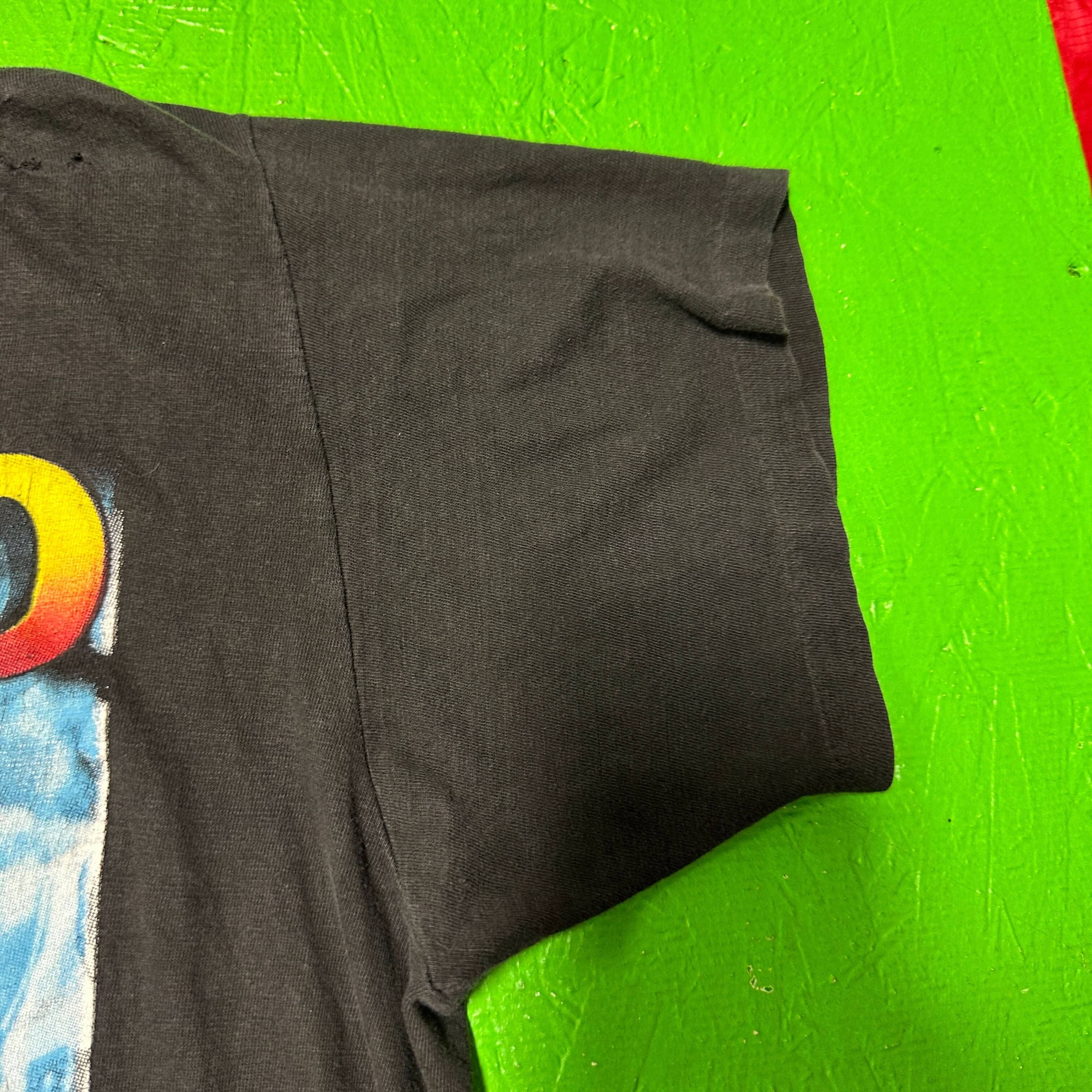 Vintage Chicago Bulls Graphic T-Shirt Size L FAIF.CA 