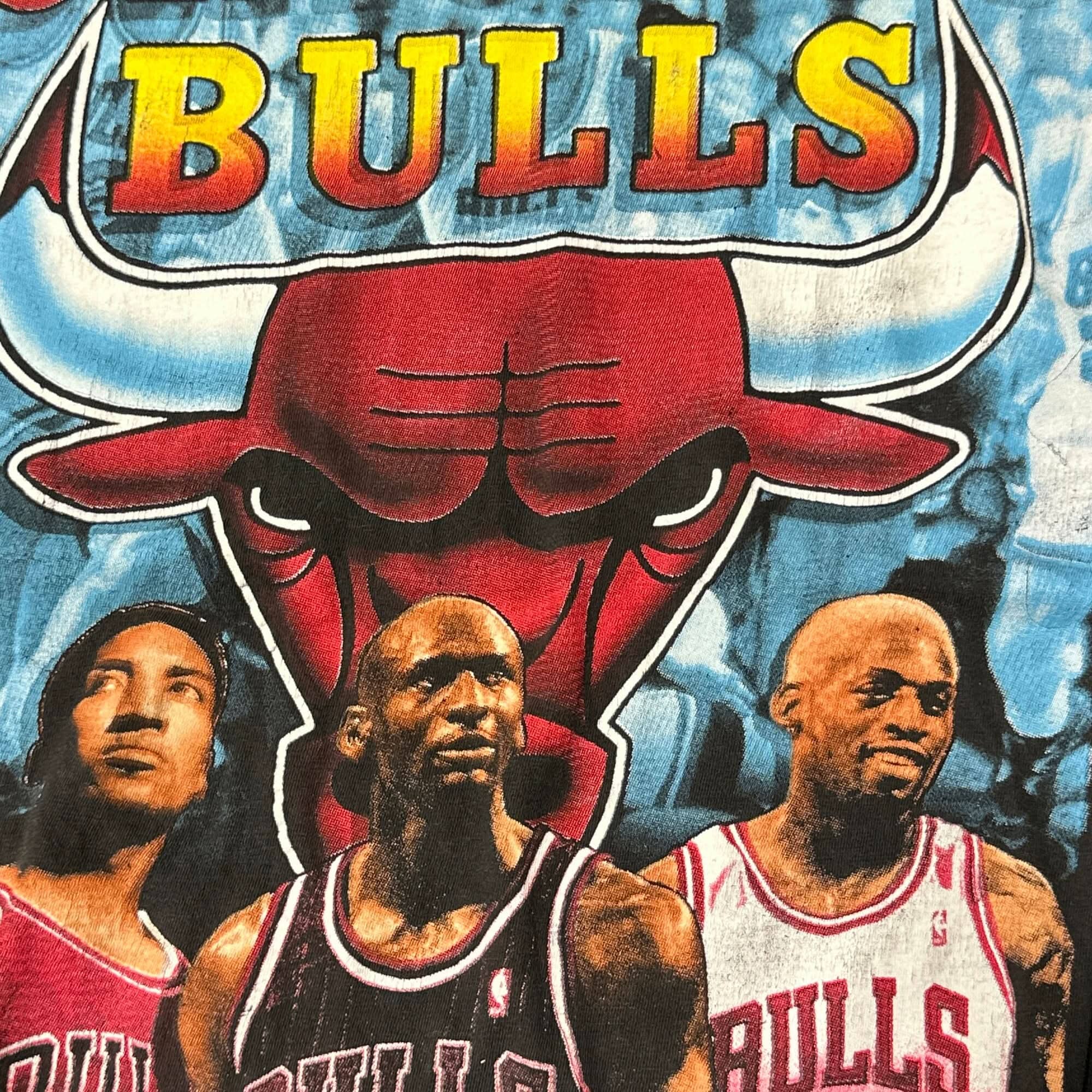 Vintage Chicago Bulls Graphic T-Shirt Size L FAIF.CA 