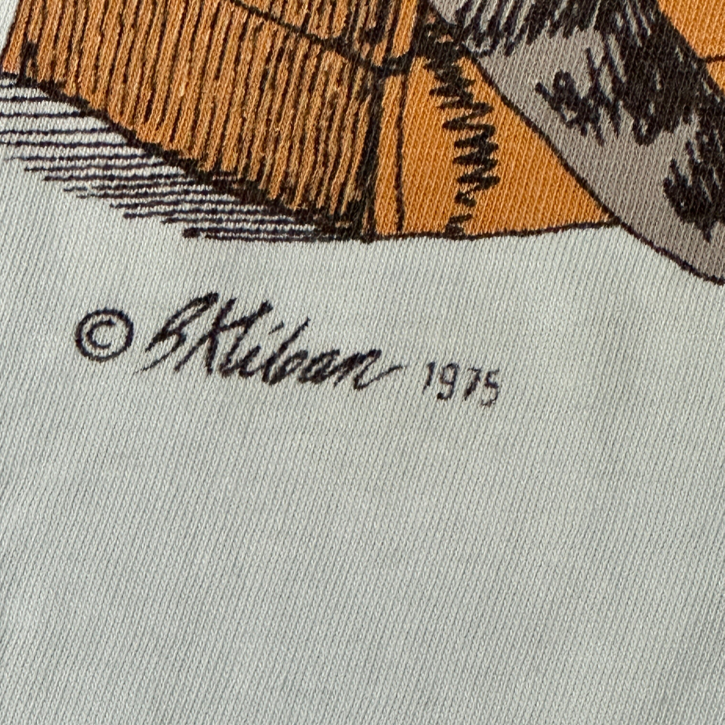 Vintage Crazy Shirts B. Kliban Cat Guitar Graphic T-Shirt Size Medium FAIF.CA 