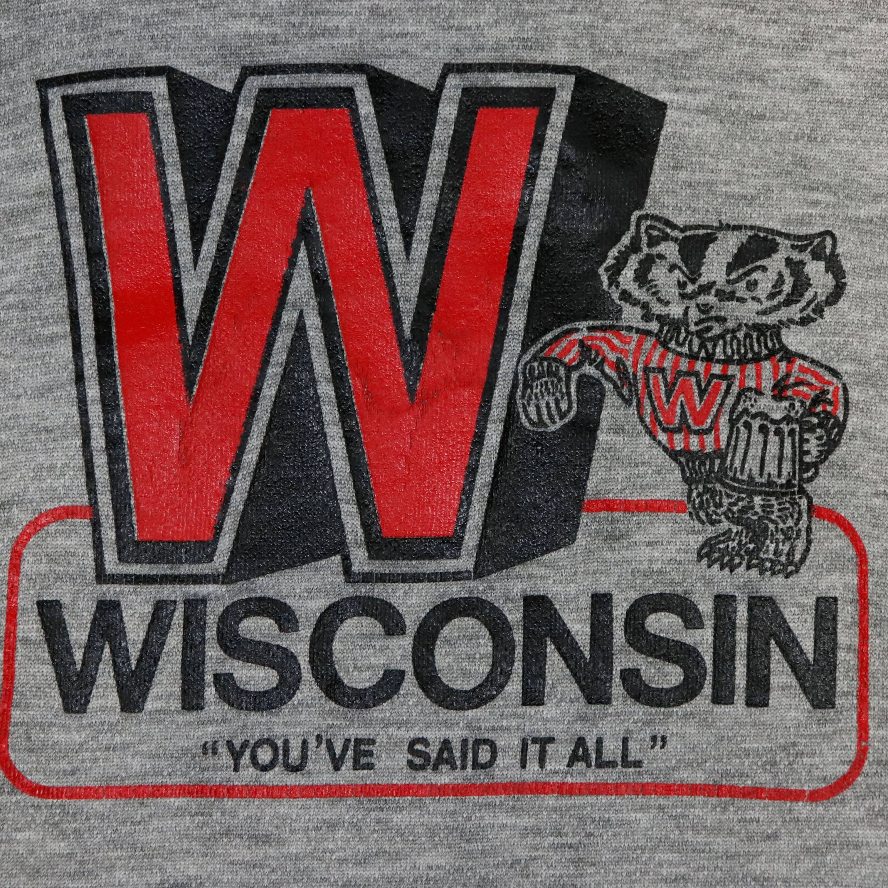 Vintage Dodger Wisconsin Graphic Hoodie Sweatshirt Size XL FAIF.CA 