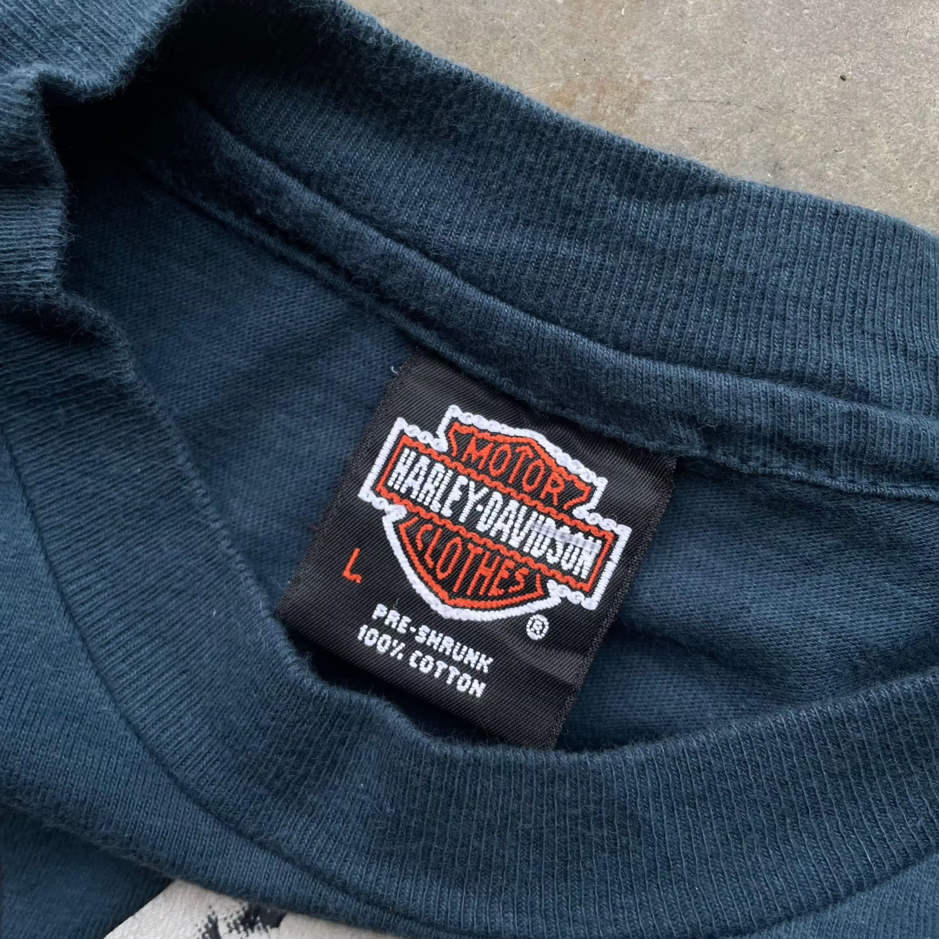 Vintage Harley Davidson Eagle AOP T-shirt T-Shirt other 