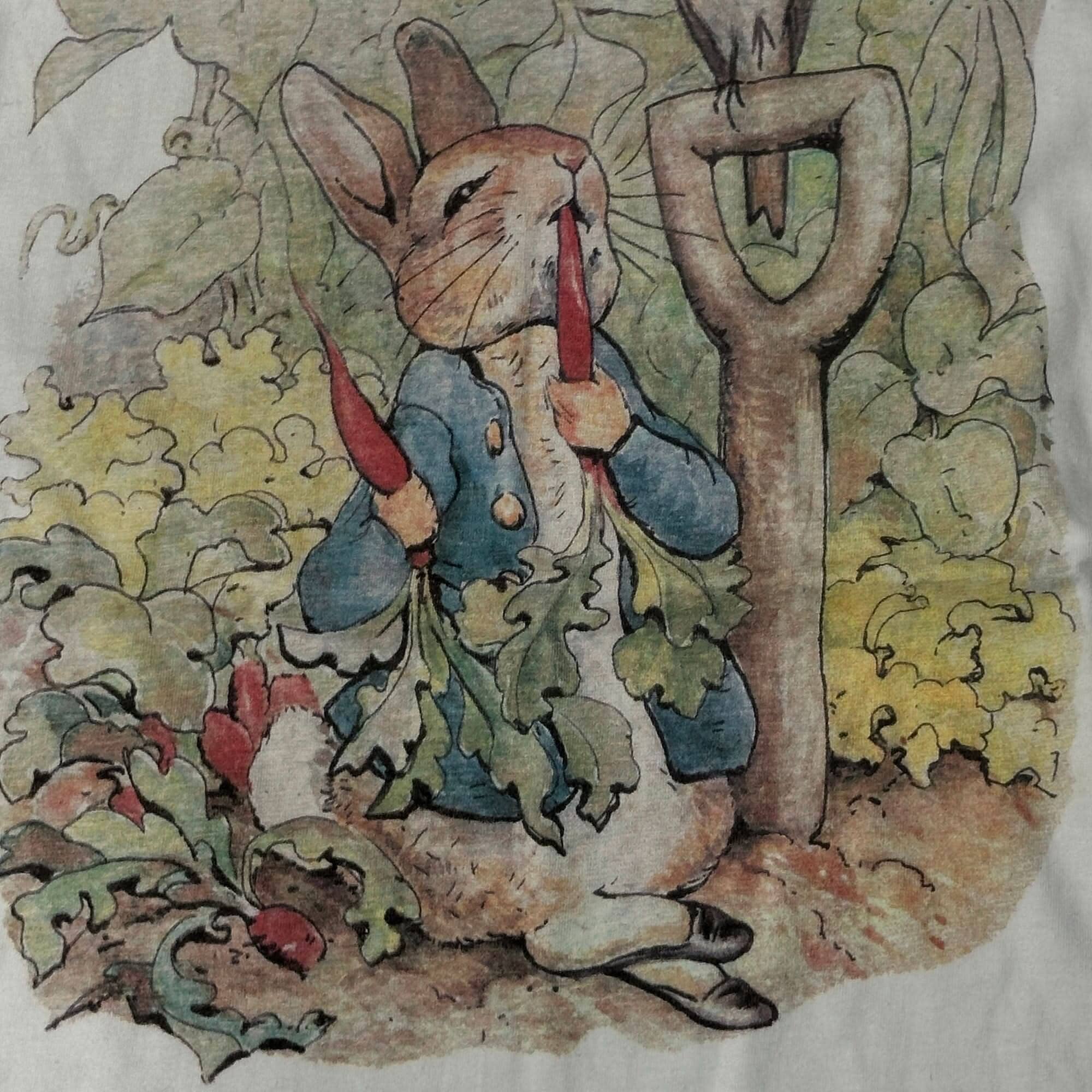 Vintage Peter Rabbit Graphic T-Shirt Size XL FAIF.CA 