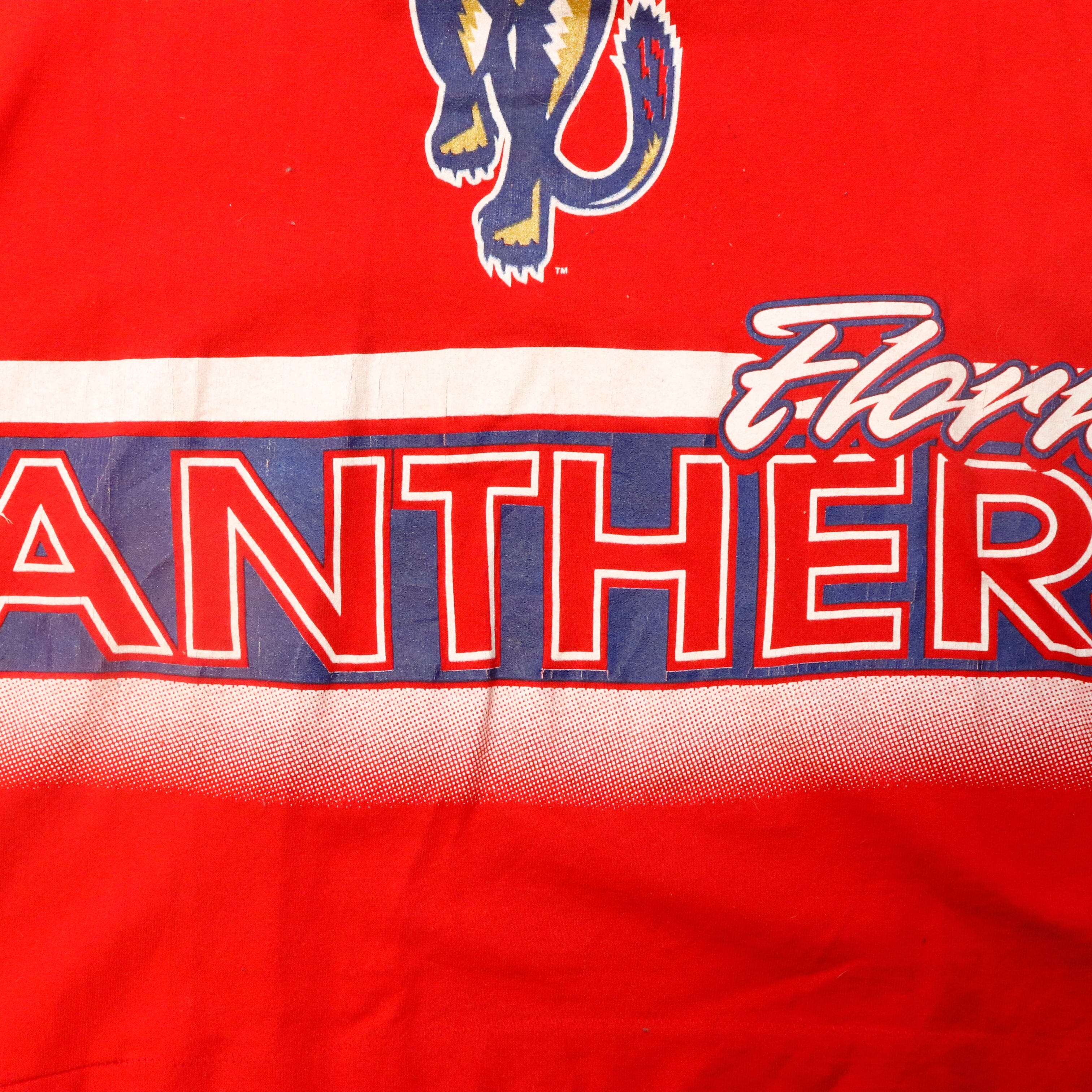 Vintage Salem Sportswear Florida Panthers Graphic T-Shirt Size XL AOP FAIF.CA 
